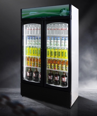 220V-240V/50HZ 60HZ 110V/60HZ Anzeige Kühler 2 Türen Laden Getränke Kühlschrank Kühlschrank