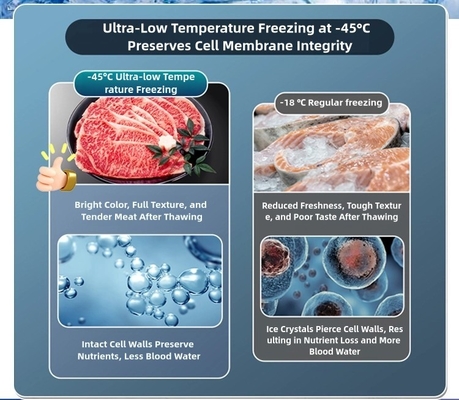 8.5-10cm Schaumschicht Ultra-Low Chest Gefrierschrank für große Kapazität -60°C Meeresfrüchte